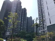 万科沁园 1室0厅 南