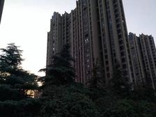 空中花园顶复三层 带私人平台 客厅观湖景