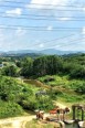 周边配套--潼湖湿地实景