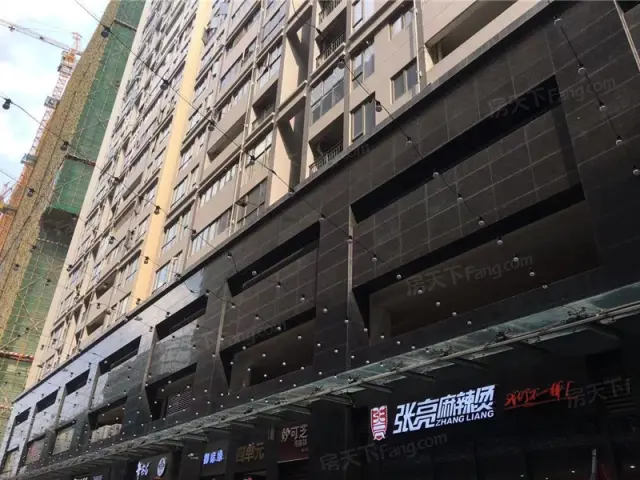 天益城 莞惠轻轨站旁 红本在手精装修 自带大型商业