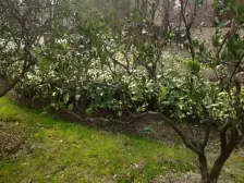 新房源大面积精装修3房,1楼复式,业主已定好房,急售