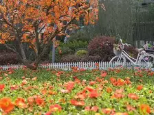 鹿角 悦麓山三房66万