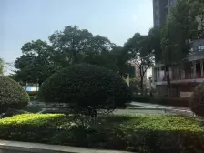 保利三龙湾天珺 4室2厅 北 南