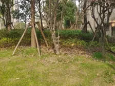 唐镇板块,房户型方正南北直通,精装修位置好,无遮挡