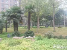 洛龙 紫金风景线东区 2室2厅,满五,全新房,精装修未入住