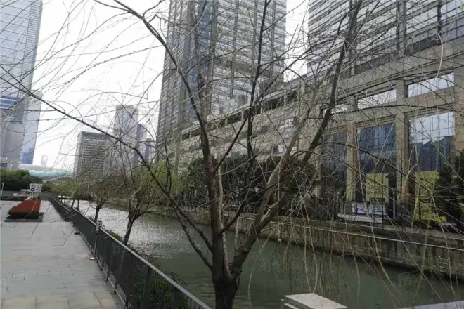 苏悦国际公寓