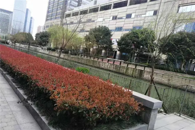 苏悦国际公寓