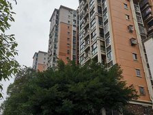 树高香漫华庭B区2室1厅东北