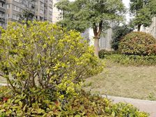 公园南苑新上安置房,没大税,还有22平大车库。