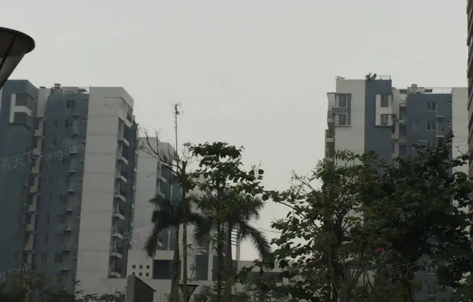 青秀区 凤岭北 凤岭佳园 精装2房 南北通透 采光好 可随时看房