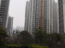 恒大名都精装三室带车位位置好楼层好采光好