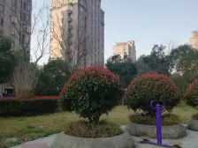 小区环境好,小区楼间距宽,交通便利