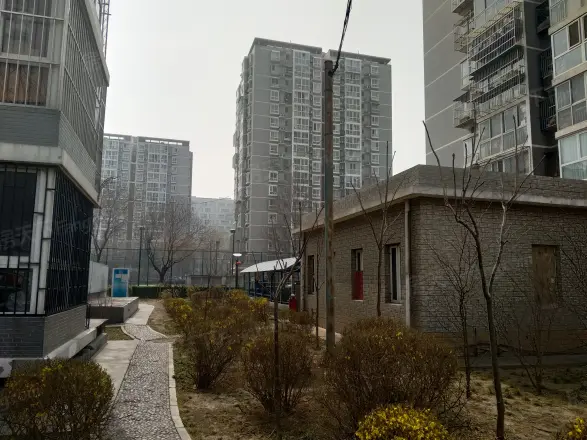 常青园
