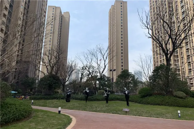 金科观天下