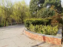 近地铁+中高楼层非顶层+配套成熟