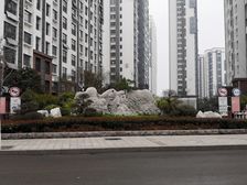 看房方便,采光好,楼层好,房间明亮