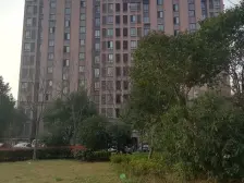 电梯房,刚需上车 新上房源