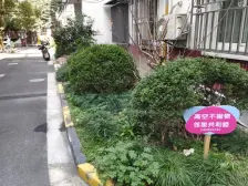 新爆款 大三房 南北通透 价格绝了 采光好 安静不吵