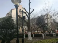 2号线 安元佳苑六区 房源 诚心出售