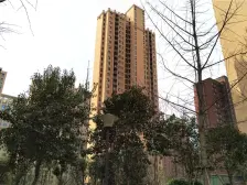 一梯一户设计,带空间,简单装修,可以随意改动