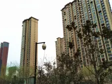 碧桂园物业 大三房 业主诚心出售