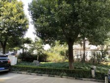 05年小区、电梯三房、南北直通户型、双阳台、宽大客厅