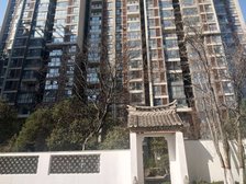 建业桂园三房,客厅落地窗大窗户,小区环境优美!