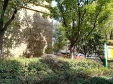 电梯房、大两房、品质小区、精装修、诚意出售