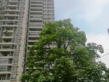 南向2房 户型舒适 楼下由大型菜市 在建地铁