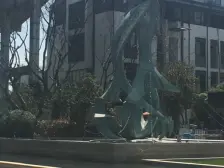 东渡和院 4室2厅 南