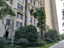 满五 双南两房 高楼层 人车分流 环境好