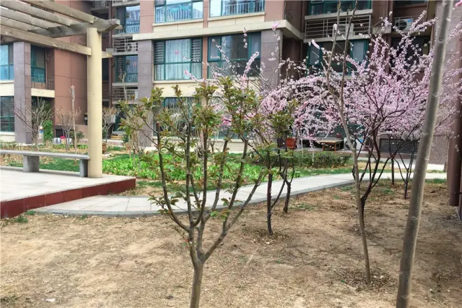 【石家庄宝翠园小区,二手房,租房 石家庄房天下
