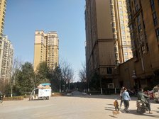 全新精装3室,全屋定制家具家电齐全拎包入住,可贷款