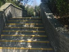 盈浦·东渡青筑·5室·2厅