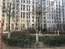 空港经济区·颐景公寓·1室·0厅