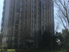 不多见的房源-吾悦旁电梯精装好楼层