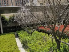 品质小区,环境宜人。楼层适中。