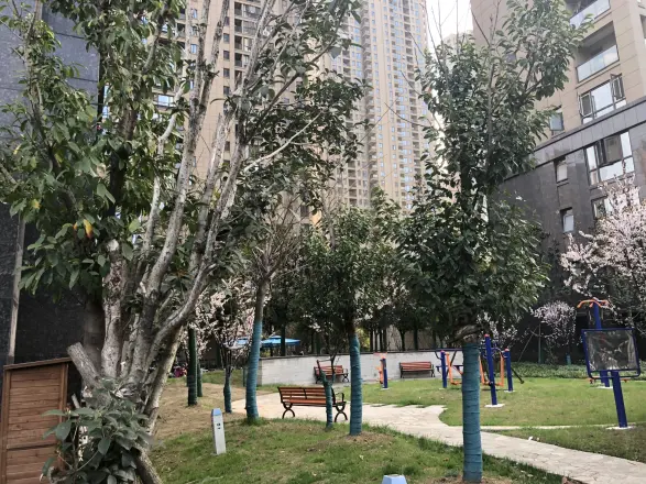 百瑞景中央生活区六期