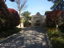 电梯房,无抵押,随时看房 店长力推