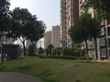 此房精装修+产权明晰+好楼层采光好