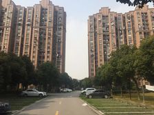 现场实勘,满五电梯房新上房源