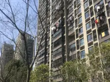 近地铁 产权清晰 精装,无抵押 新上房源
