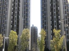 联美品悦3室1厅南北