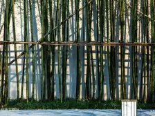 渝南大道旁,次新大盘,出行方便,业主换房急售