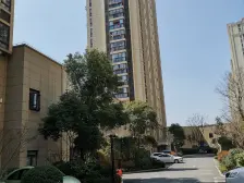 夏阳·龙湖紫悦湾·2室·1厅