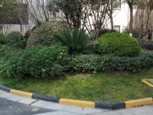 夏阳·鑫苑壹品世家西区·3室·2厅