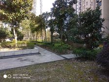 盈浦·盈浦公寓·3室·2厅