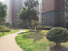 刚需上车 电梯房,新上房源