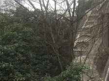 南坪 珊瑚小学综合大楼二房85万