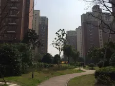 此房是小区在售高楼层一房。视野采光好